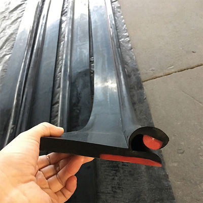 Polyurethane Solid Kép Niêm phong Váy đôi Môi PU Băng tải cao su